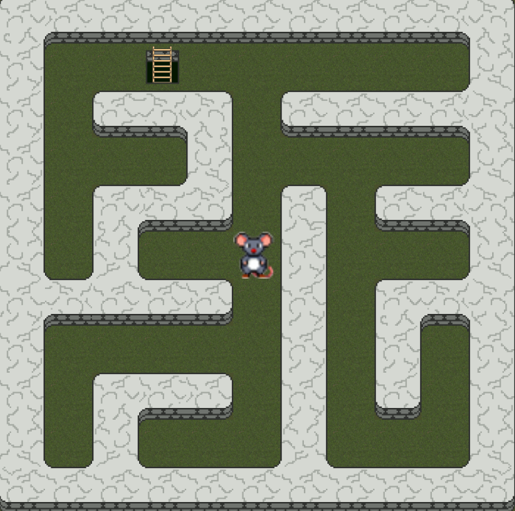 Biome Forêt